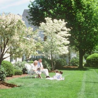 A sunny day in a beautiful garden, where a family enjoys quality time together surrounded by blooming trees.
