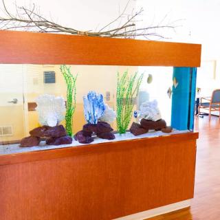 An indoor aquarium with decorative rocks and plants.