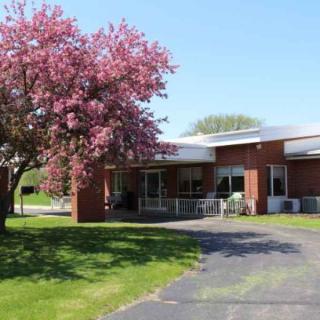 A suburban home with a blooming tree in the front yard on a sunny day.