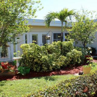 A lush garden with various plants and shrubs in front of a house on a sunny day.
