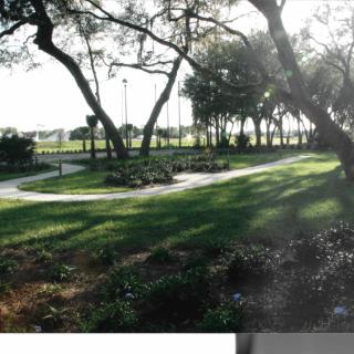 A serene park with a winding pathway, surrounded by trees and illuminated by sunlight.