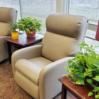 A cozy seating area with a recliner and houseplants.