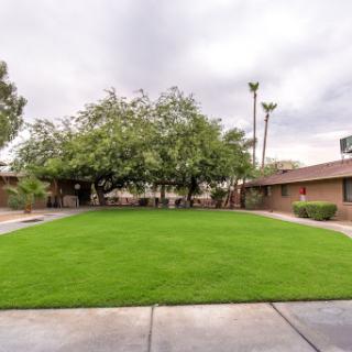 A serene courtyard with lush green grass and trees, surrounded by apartment buildings under a cloudy sky.