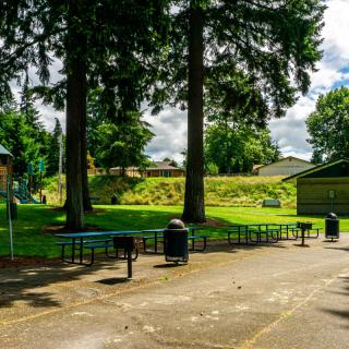 A peaceful park setting with benches and tall trees.