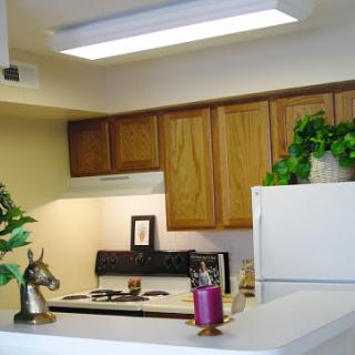 A modern kitchen featuring wooden cabinets, a white refrigerator, and decorative plants.