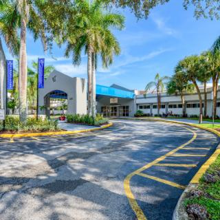 A sunny day at the entrance of a hospital surrounded by palm trees.