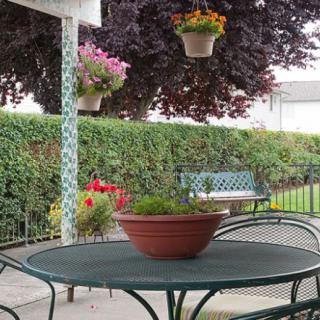 A peaceful patio setting with a table, chairs, and surrounding greenery.
