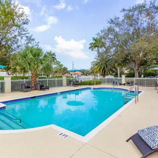 A serene outdoor pool surrounded by tropical trees, perfect for a relaxing vacation.