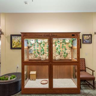 A well-decorated indoor space featuring a wooden display case with plants, accompanied by a chair and framed artwork on the walls.