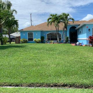 A bright blue house with a well-maintained lawn and palm trees on a sunny day.