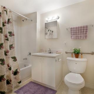 A cozy and well-equipped bathroom featuring essential fixtures and decorative elements.