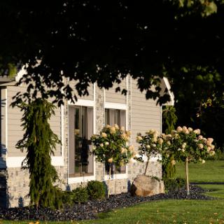 A beautifully landscaped house with flowering trees basking in the sunlight.