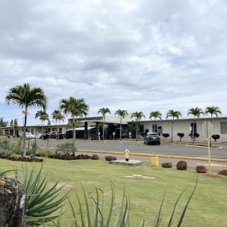 A view of an airport surrounded by lush greenery and palm trees under a cloudy sky.