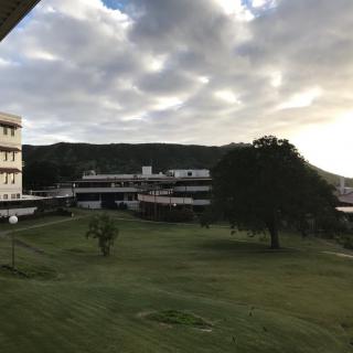 Leahi Hospital
