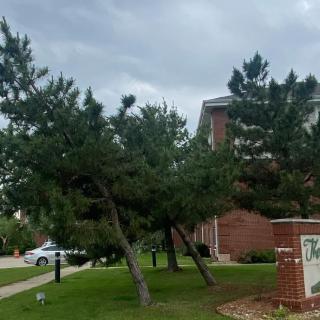 A residential area with trees, a brick building, and a sign under a cloudy sky.