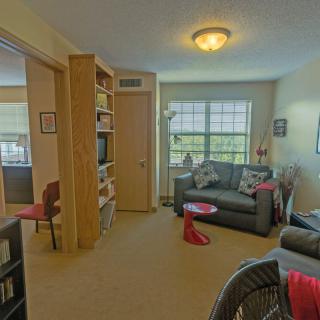 A cozy living room with sofas, a window, and a bookshelf.