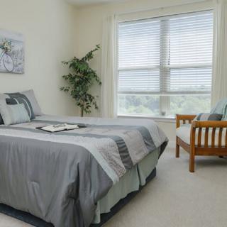 A cozy bedroom featuring a neatly made bed, a large window with shades, and a potted plant for decoration.