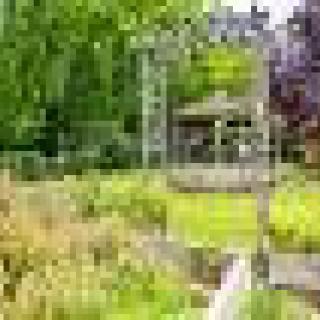 A lush garden with a gazebo surrounded by diverse greenery.