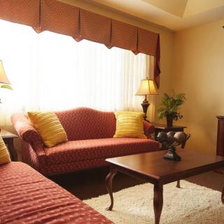 A cozy living room with matching sofas and elegant decor.