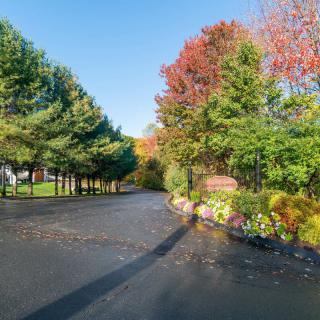 A scenic driveway lined with trees displaying vibrant autumn foliage.