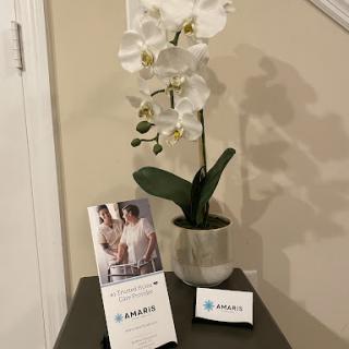 A stylish corner featuring an elegant orchid plant alongside promotional materials.