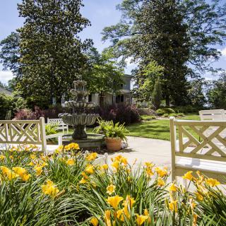A tranquil garden scene featuring a fountain, surrounded by blooming yellow flowers and benches under a clear blue sky.