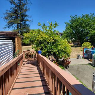 A sunny day view of a wooden deck with a railing, surrounded by trees and greenery.