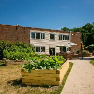A sunny day at a building with a well-maintained vegetable garden featuring raised beds and a pathway.