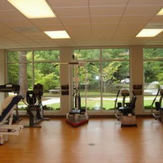 A bright and spacious gym area filled with various exercise equipment, surrounded by large windows that let in natural light.