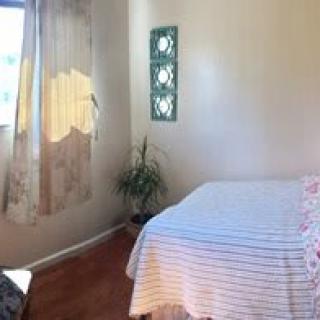 A cozy bedroom with a bed, window with curtains, and a small plant in the corner.