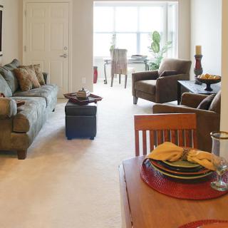 A cozy living room with a sofa, chairs, and a dining area in the background, showcasing elegant home decor.