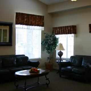 A cozy living room with two leather sofas, a coffee table, a lamp, and an indoor plant near large windows.