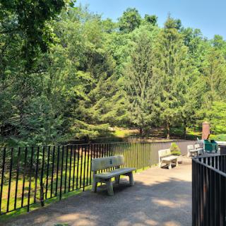 A peaceful park setting featuring benches by a tranquil pond surrounded by lush greenery.