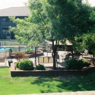 A serene outdoor space featuring a swimming pool, lush greenery, and a shaded patio area.