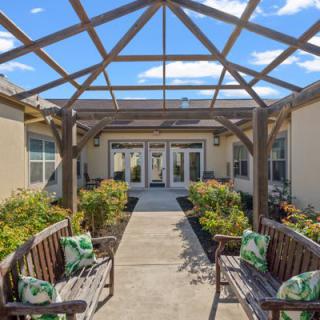 A sunny garden walkway with a wooden pergola and benches leading up to glass doors.