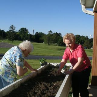 Two people gardening together on a sunny day.