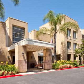 A modern hotel entrance surrounded by palm trees and landscaped gardens.
