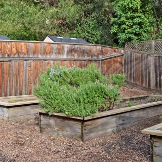 A backyard garden featuring raised wooden beds and a wooden fence.
