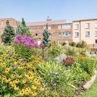 A vibrant garden full of colorful flowers, with buildings in the background.