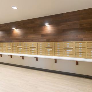 A row of modern mailboxes mounted on a wooden wall with soft lighting.