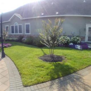 A well-maintained garden featuring a manicured lawn and blooming flowers beside a house.