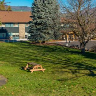 A sunny outdoor area with a picnic table on the grass, surrounded by trees and a building in the background.