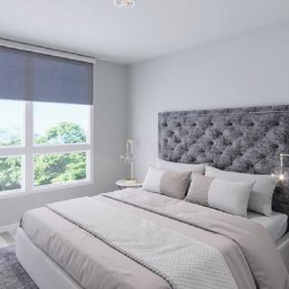 A modern, minimalist bedroom with a large bed and ample natural light.
