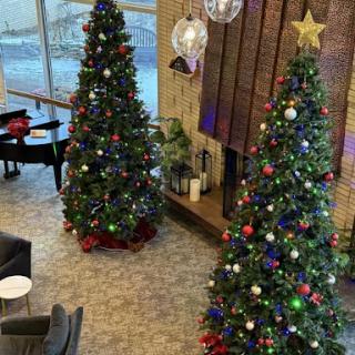 A cozy living space adorned with beautifully decorated Christmas trees, setting a festive mood for the holiday season.