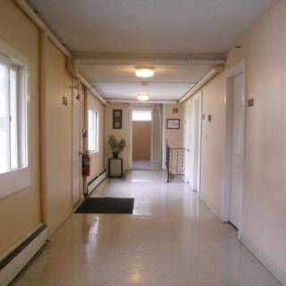 A well-lit hallway with several doors and windows.