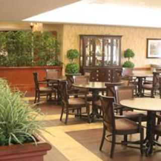 A cozy indoor dining area with tables, chairs, and decorative plants.