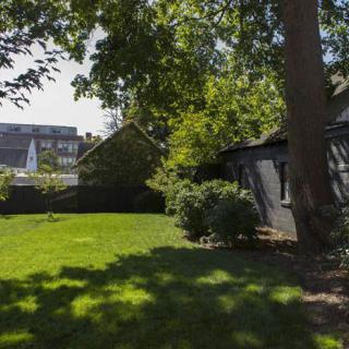 A sunny backyard with a lush green lawn and surrounding trees.