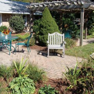 A serene outdoor patio area with a table, chairs, and lush greenery under a pergola.