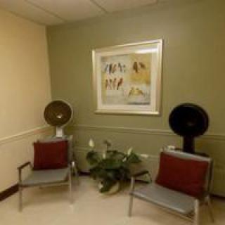 A small waiting area with two chairs, each equipped with a hair dryer, a framed artwork on the wall, and a potted plant on the floor.