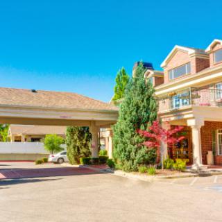 A sunny view of a hotel entrance with landscaped surroundings.